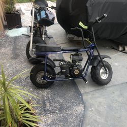 Mini Bike