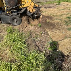 Stump Grinding 