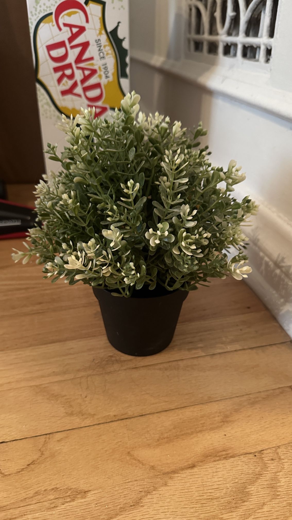 Fake Plant