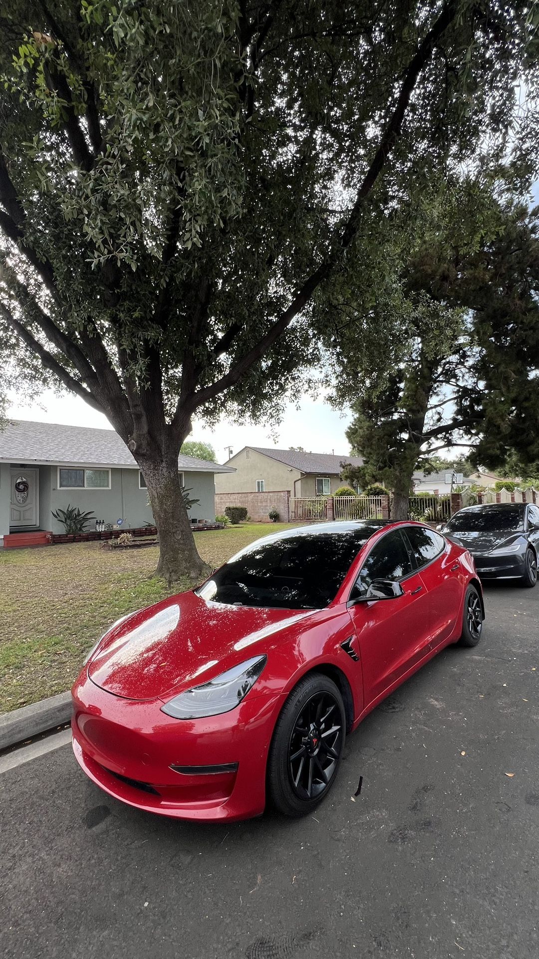 Tinting Any Car Any Shade