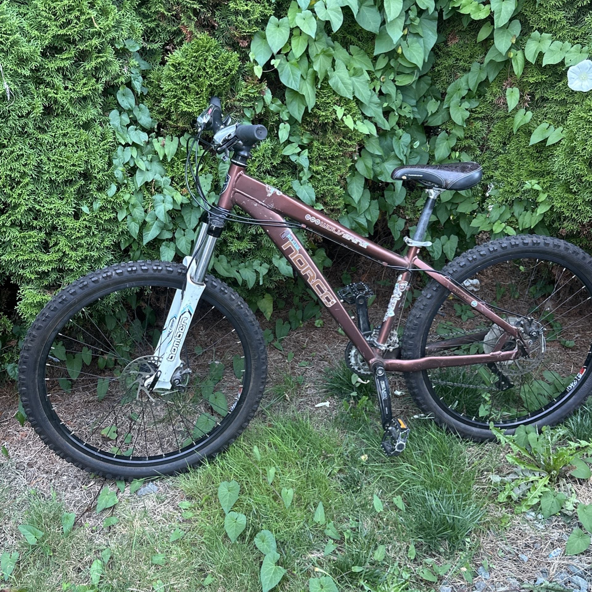 Norco wolverine for sale sale
