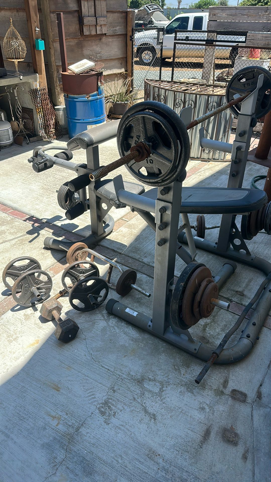 Weight And Bench