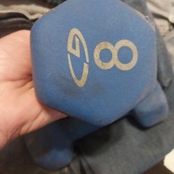 8 Pound  Hand Weights (2)