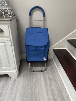Shopping dolly
