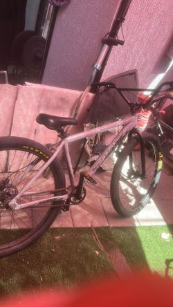 Throne 29er
