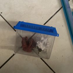 Pecera Para Baby Fish Y Corales Reales