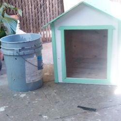 DOG HOUSE