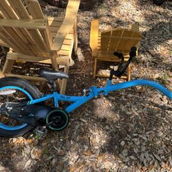 Kazan co-Pilot Bike Trailer Kids Bike