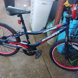 Schwinn BMX Bike 20"