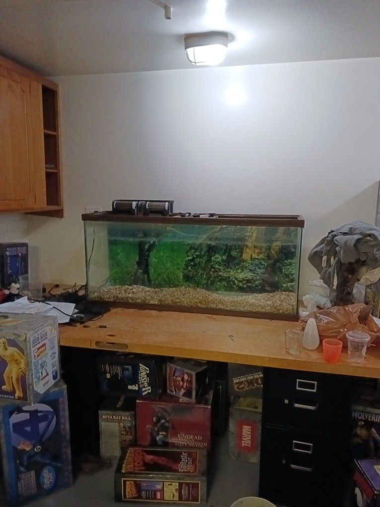 55 Gallon Glass Aquarium $150