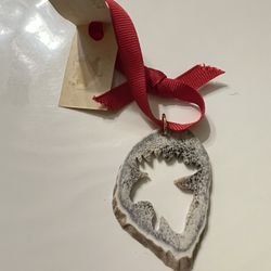 elk shed antler