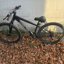 Ozark Trail Bike 