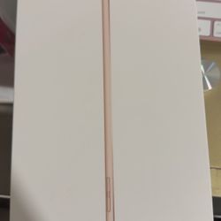 256 GB iPad Mini 5 Gen 