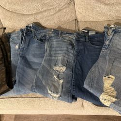 Women Pants