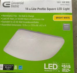 White LED Light