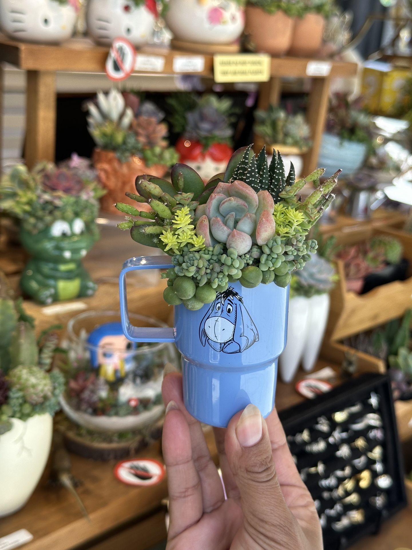 Eeyore Stanley Succulent Arrangement