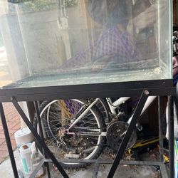 Fish Tank With Supplies