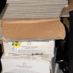 12x12 Porcelain Wall & Floor Tile  