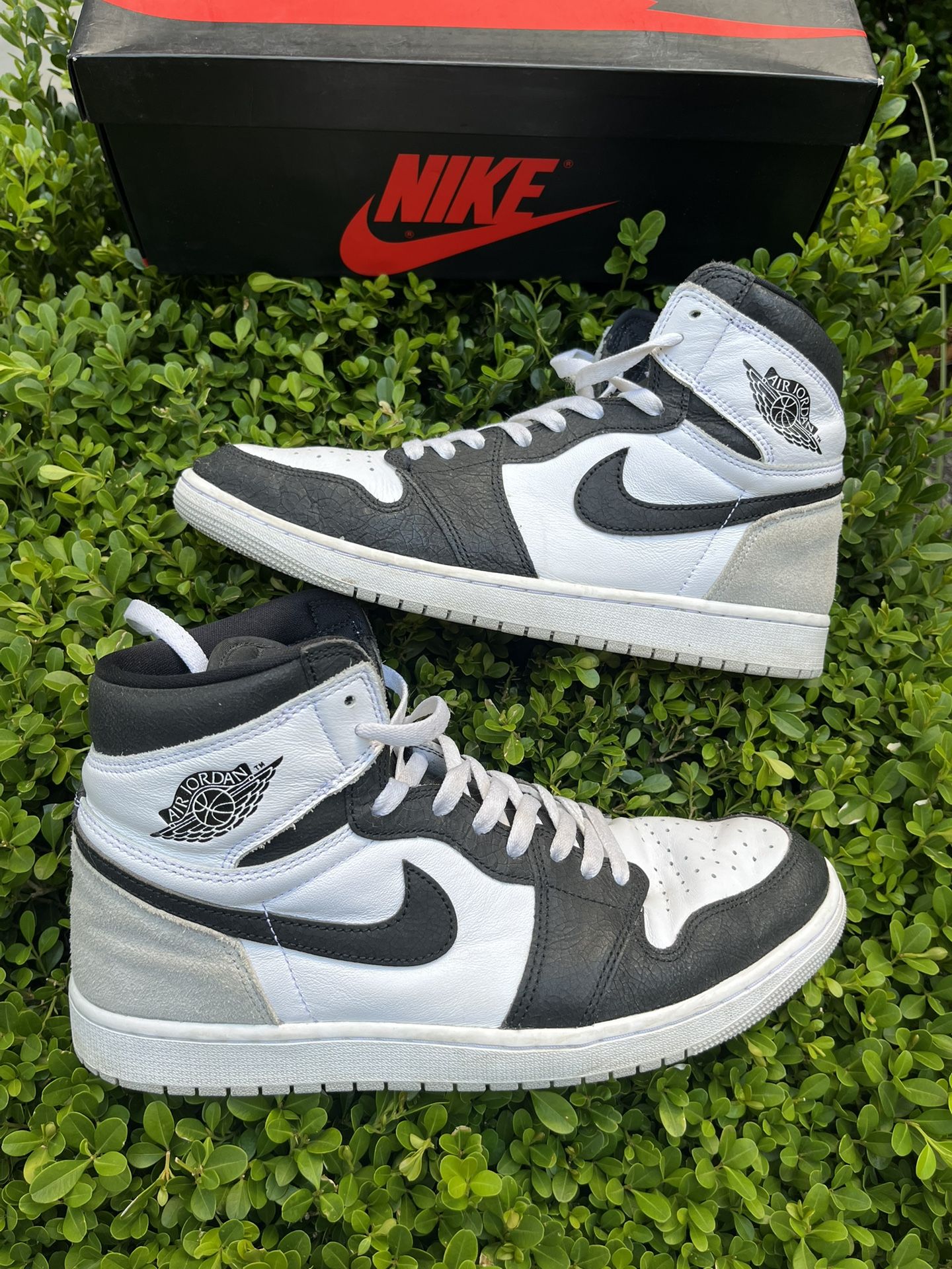 Size 12 - Jordan 1 Retro OG High Stage Haze
