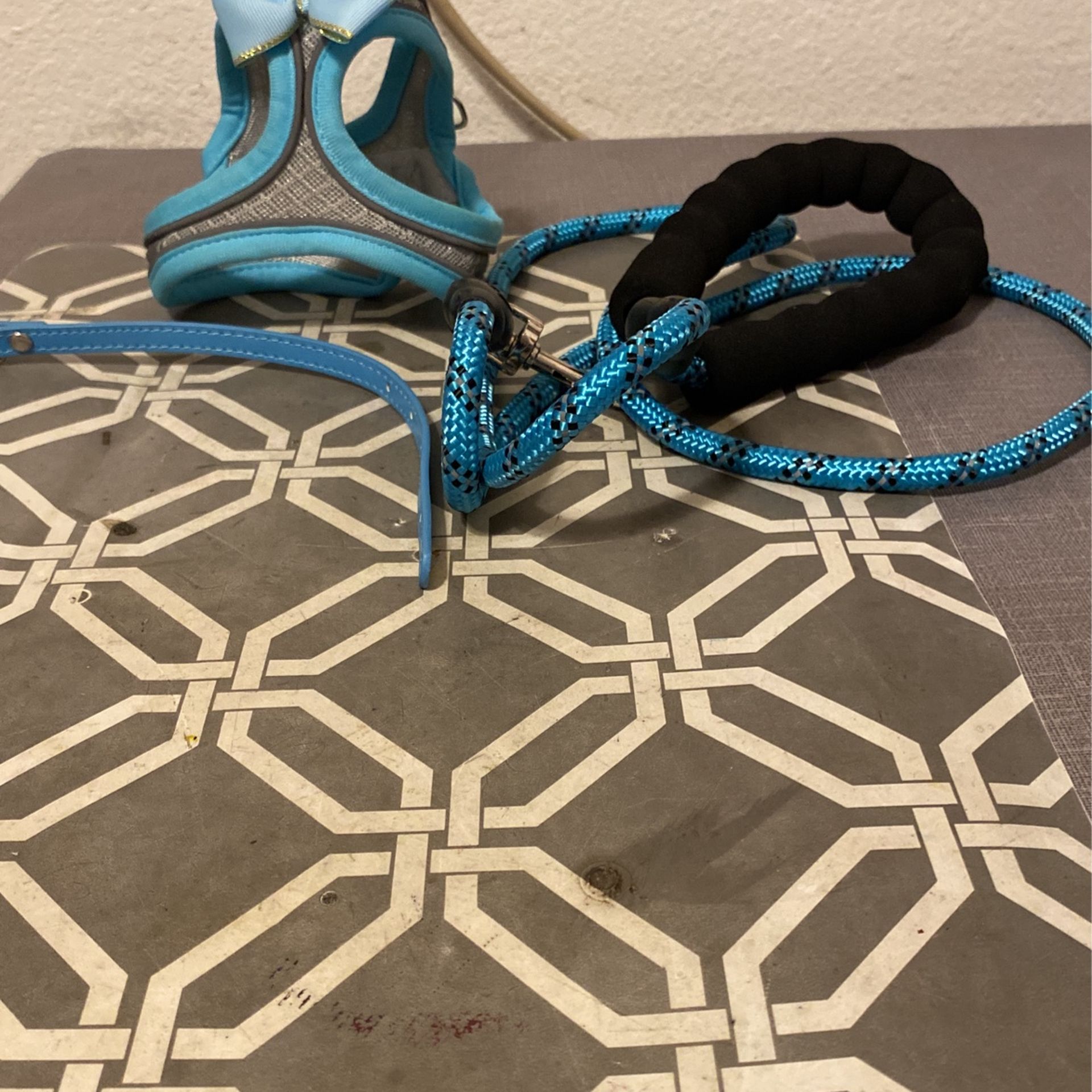 Small Dog Harnesses & Leash