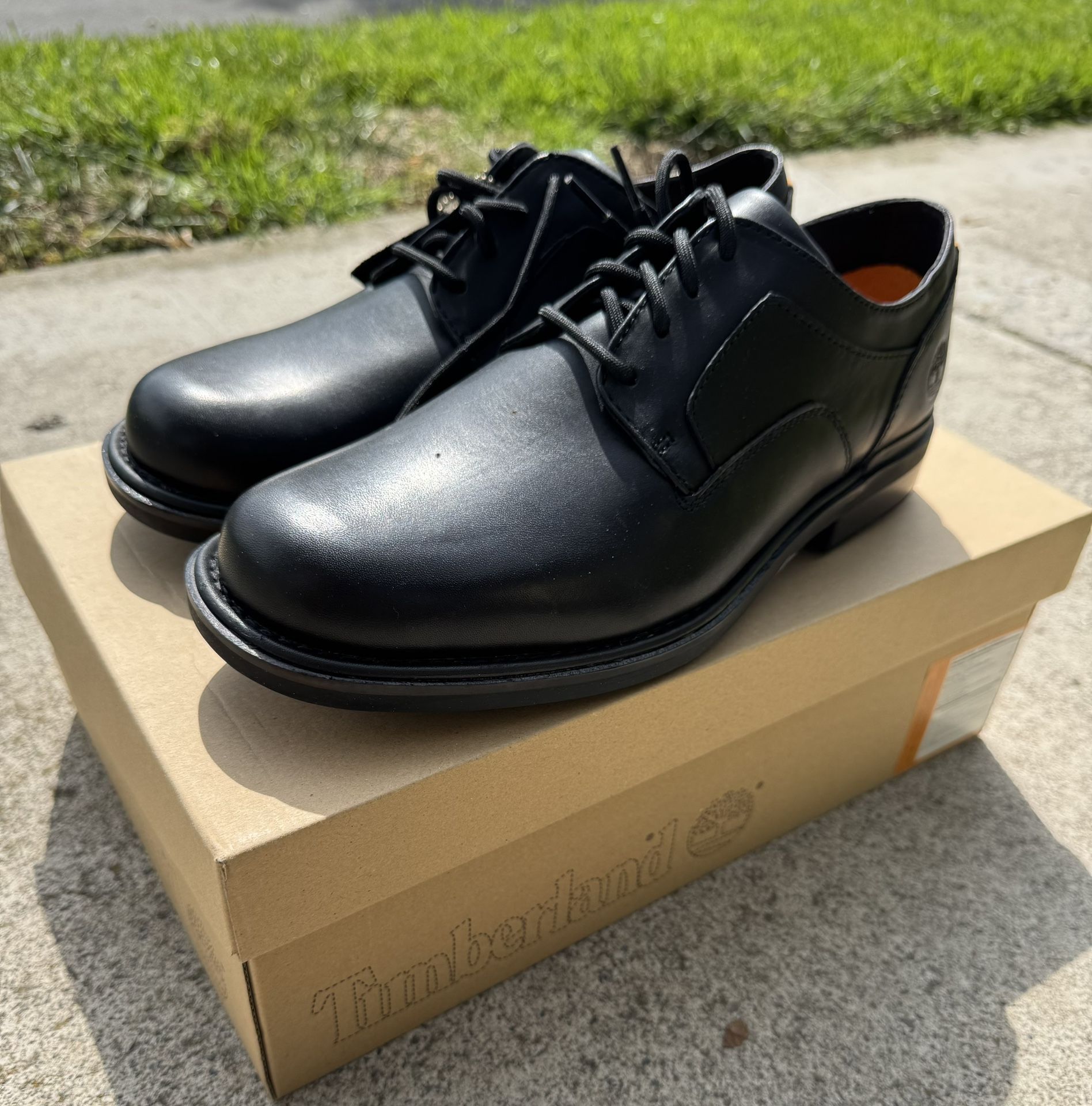 BRAND NEW IN BOX NEVER WORN Timberland Torrance Leather Shoes Size Men’s US Size 8