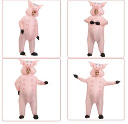 Adult Inflatable Pig Costume . Not Free Message For Price