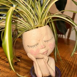 Spider Plant With Cute Pot
