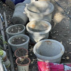 Large Concrete Pots
