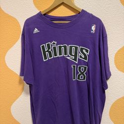 Sacramento Kings Omri Casspi Shirt 