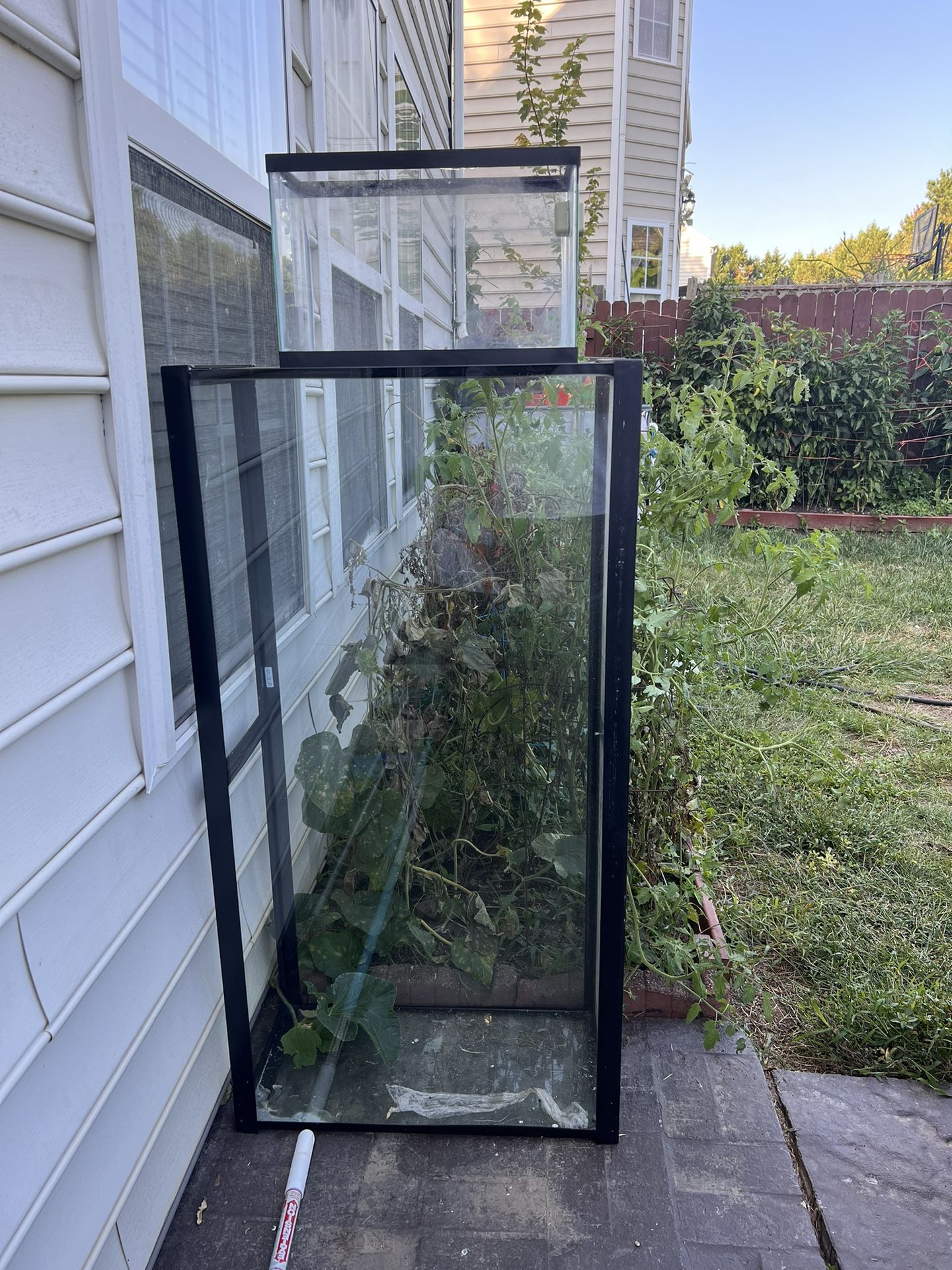 70 Gallon Tank
