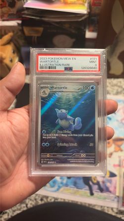 2025 wartortle