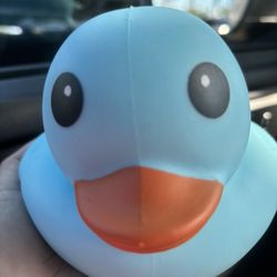 Sunny days squishy Ducks 
