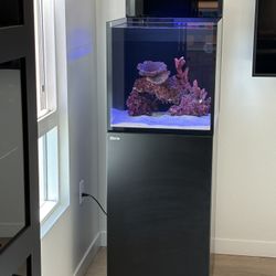 🐠 Red Sea MAX NANO G2 XL Aquarium + Cabinet – Like New