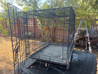 Cage