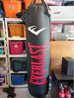 Everlast professional punching bag