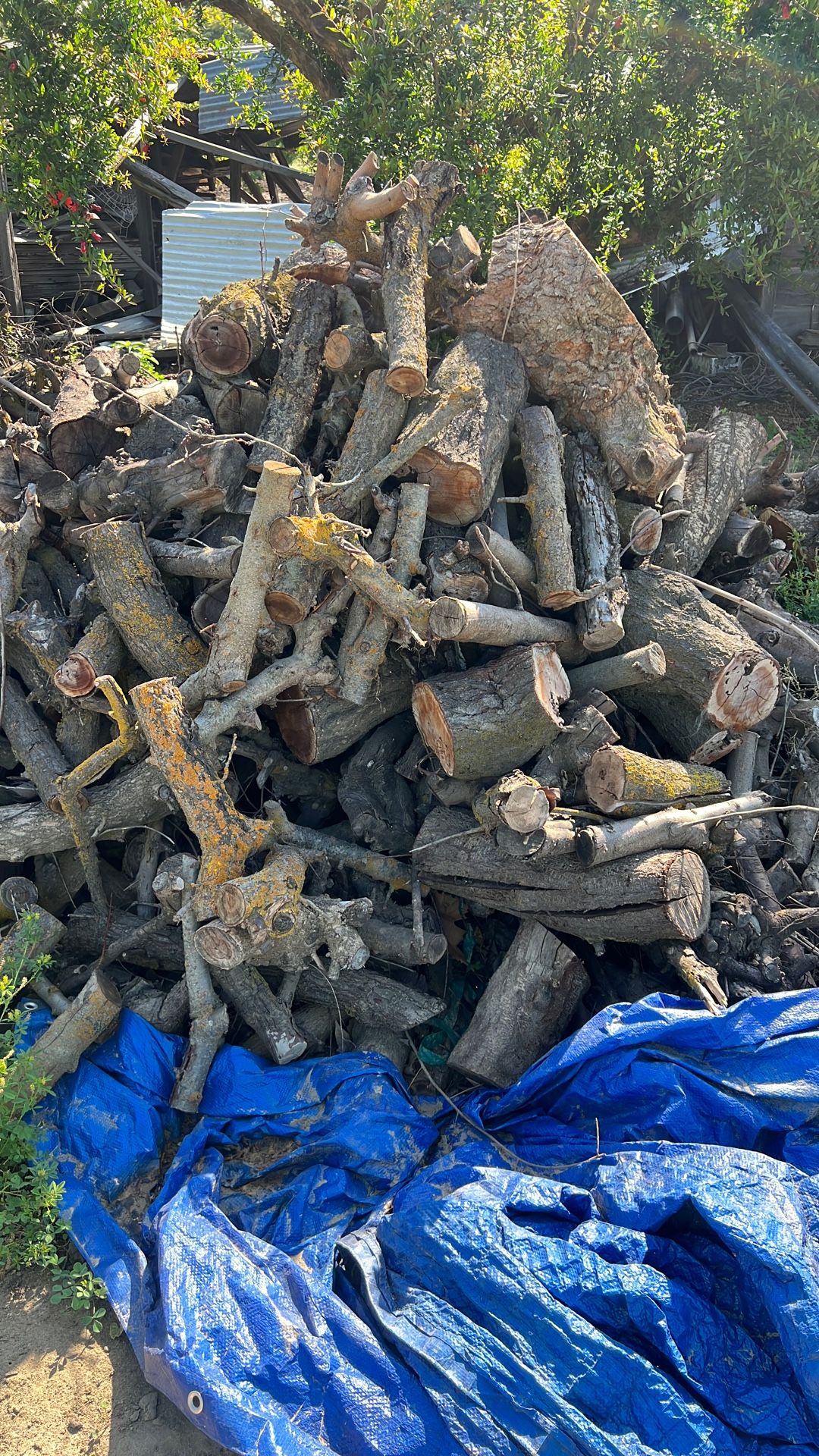 Fire Wood