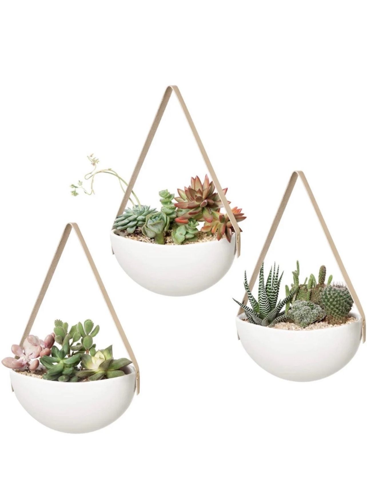 Ceramic Plant Hanger’s (Plants Not Including)