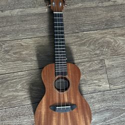 BRAND NEW Ukelele 