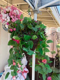 Faux plant with pot hanging