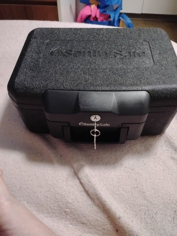 Sentry Safe Box