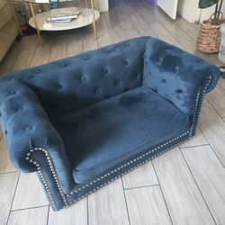 Small Dog Couch