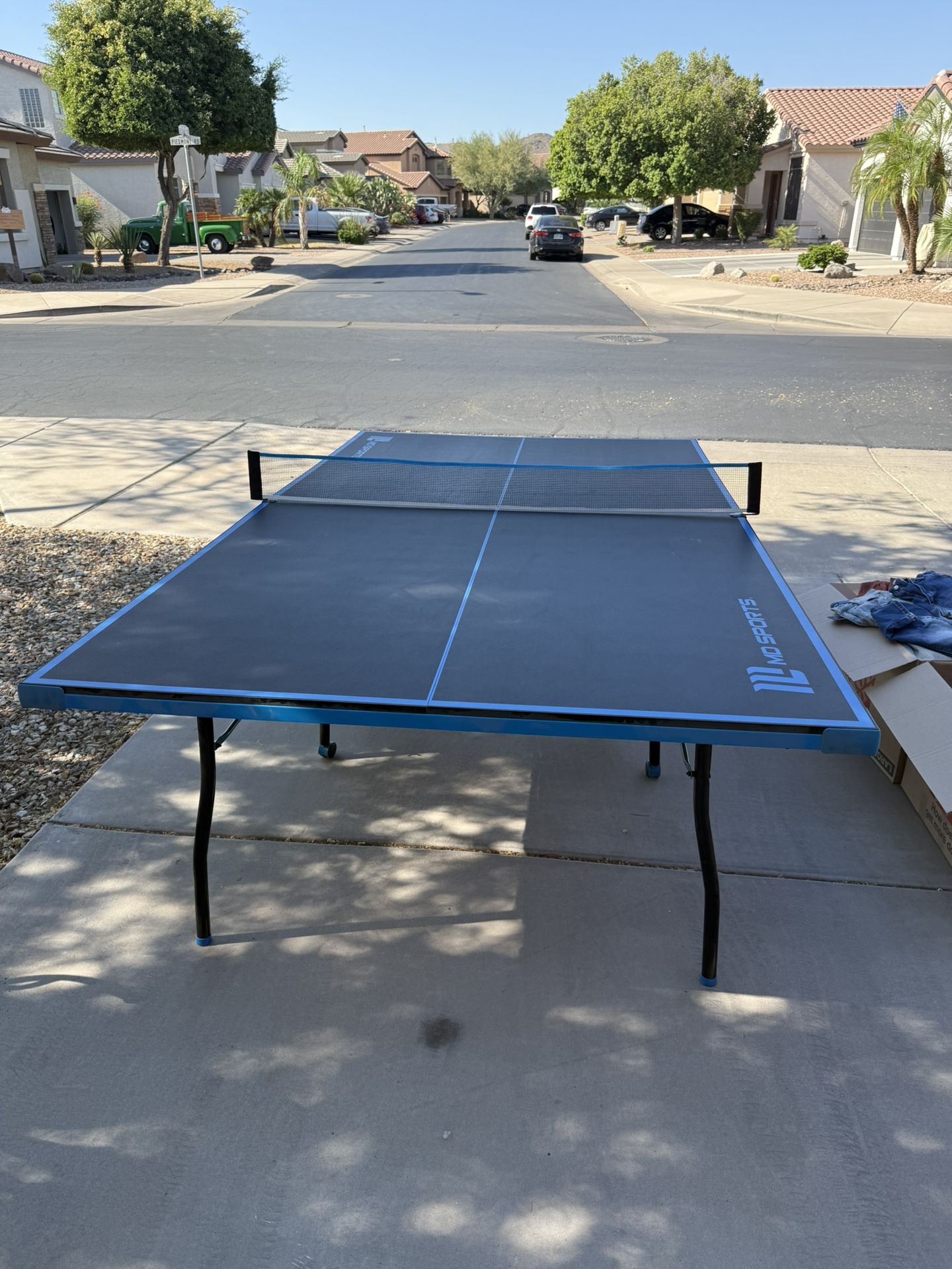 Ping-Pong Table