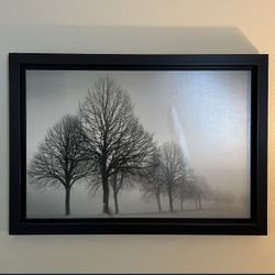 41” x 29” Large Framed Print