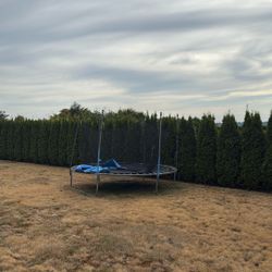 free Pick Up Trampoline 