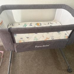 Pamo Babe Bassinet Like New