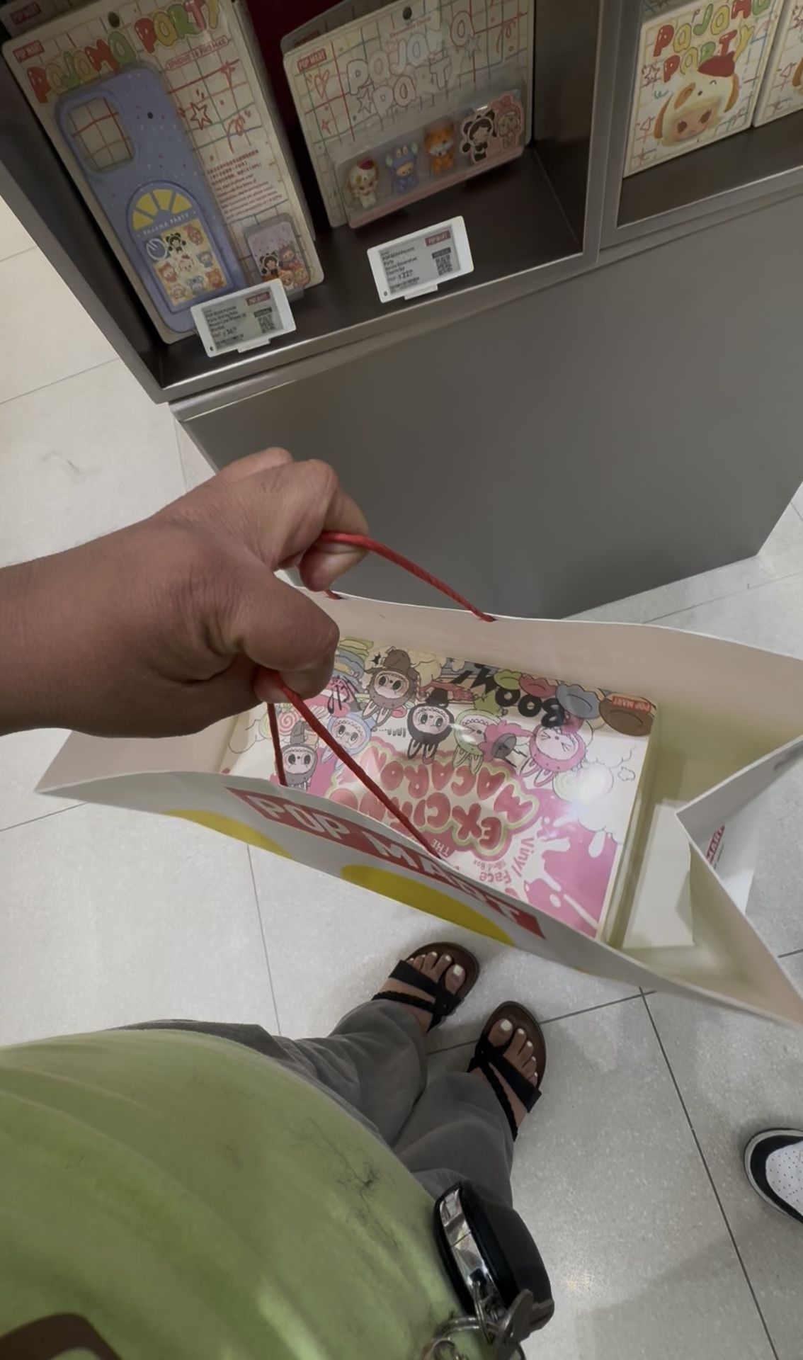 Macaron Labubus Box