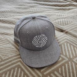 SDFC Snapback Hat