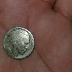 Buffalo Nickle