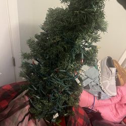 Free 2 Xmas Trees