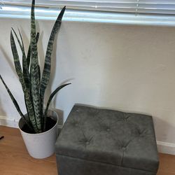 Ottoman  1 ft tall  19 inches long 14 inches wide 